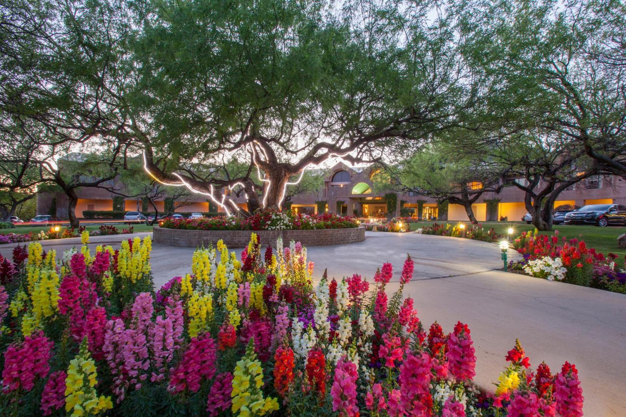 The Lodge At Ventana Canyon Тусон Екстер'єр фото