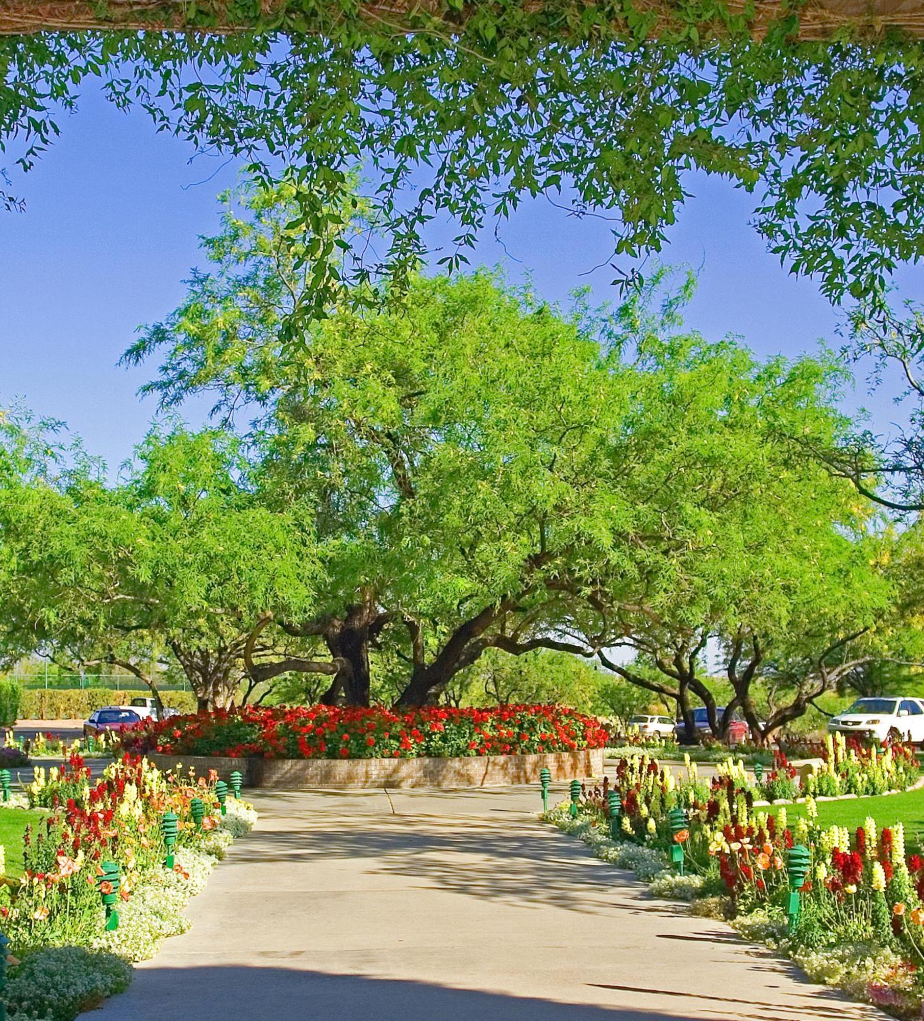 The Lodge At Ventana Canyon Тусон Екстер'єр фото